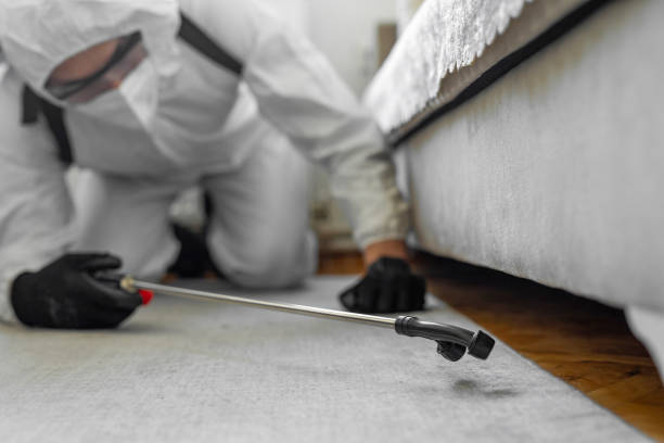 Professional Ant Control technician working in St. George, KS