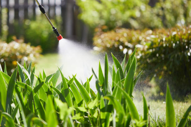 24/7 Emergency Ant Control experts in St. George, KS