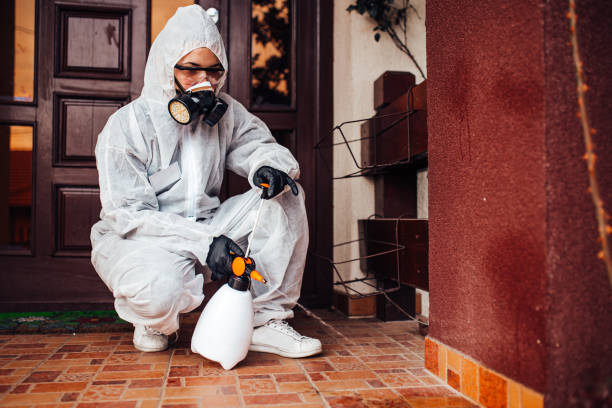 Reliable Ant Control contractor in St. George, KS by Nex Pest Control