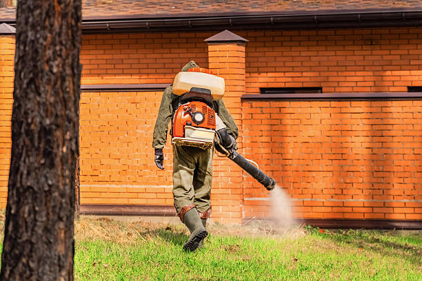 Trusted Ant Control service in St. George, KS - Nex Pest Control